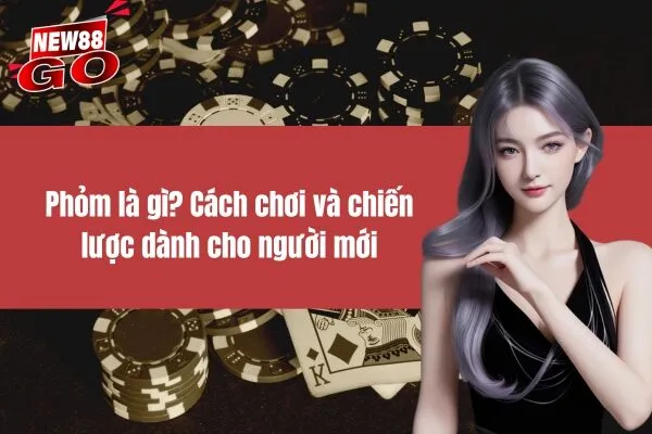 Phỏm là gì Cách chơi và chiến lược dành cho người mới